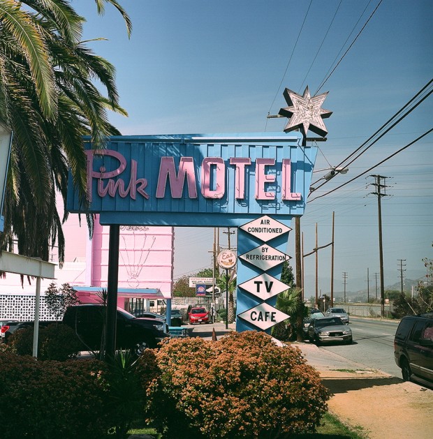Pink Motel   -  9