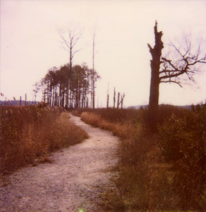 Virginia Path